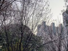 -苏州河梦清园环保主题公园