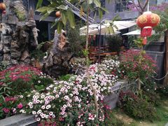 -海韵人家.海景花园经典云南菜(双廊店)