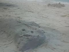 -新加坡水上探险乐园