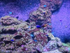 -成都浩海立方海洋公园