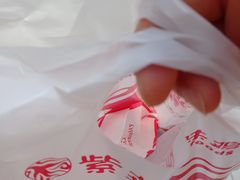 -紫燕百味鸡(银龙花园店)