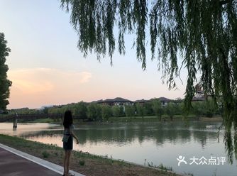    【坐标】上海-美兰湖 【时间】2020年8月2