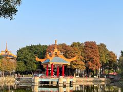-金砂公园