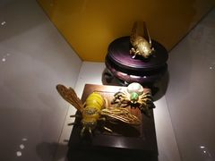 -上海昆虫博物馆