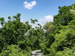 -阳台山自然风景区