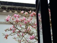 -耦园
