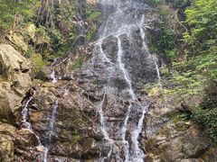 -江西阳明山国家森林公园