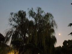 -达活泉公园