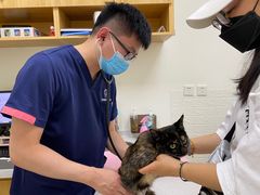 -美联众合动物医院·24h京西诊疗中心
