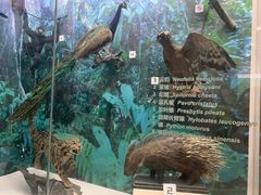 -国家自然博物馆