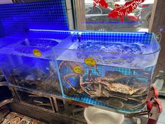 -77号渔船·蒸海鲜青岛菜(积米崖店)