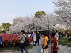 -堤角公园