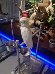 -未来动物城动物主题公园(大悦城店)