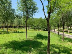 -东郊湿地公园