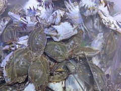 -聚盛源蒸汽海鲜火锅烤肉自助(巨川金海岸购物广场店)