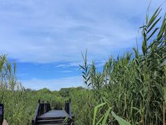 -沙家浜风景区