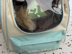 -瑞派康怡24h宠物医院·犬猫医疗中心·微创绝育(瑞景分院)