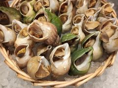 -长沙富力万达文华酒店