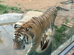-昆明动物园