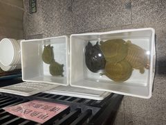 -洪湘记川湘·甲鱼馆(四海凯悦美食广场店)