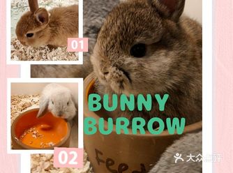 春日逛Gai指南兔窝镇Bunny Burrow金沙龙湖天街