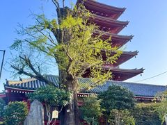 -浅草寺