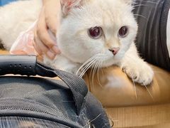 -联合动物医院(光谷诊疗中心)