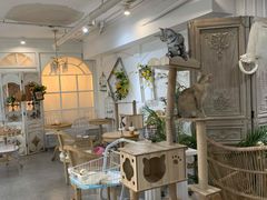 -共舞时光猫咖·狗咖(新街口店)