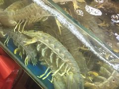 -班赞海鲜市场