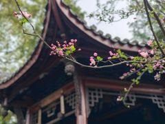 -棠湖公园