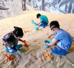 -恐龙探索乐园(磁器口店)