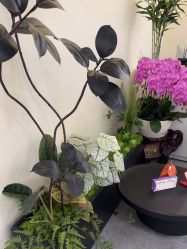 -海涛医疗美容·面部抗衰·注射美鼻