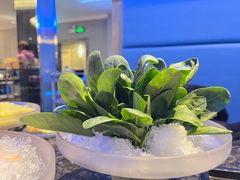 -王家渡火锅店(棕榈泉店)
