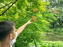 -云溪植物园