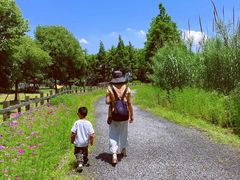 -田园东方蜜桃村的田野营地