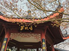 -堤角公园