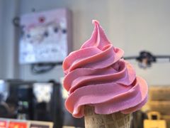 -萨朗刀克冰淇淋雪花凉(植物园店)
