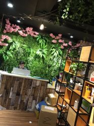 点击看大图 -藤野造型·专业烫染店