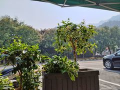 -沣峪口