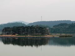 -美的鹭湖森林度假区