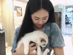 -Umiao与猫咖啡 猫咖