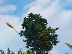 -白鹭湾湿地公园