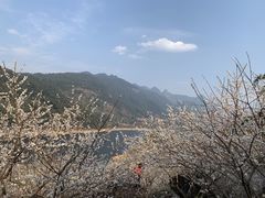 -广州市流溪河国家森林公园