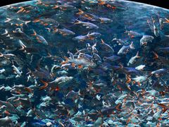 -成都浩海立方海洋公园