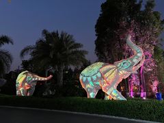 -云南民族村