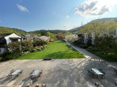 -杭州雅谷泉山庄酒店-餐厅