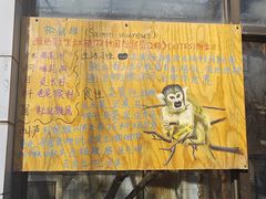 -昆明动物园