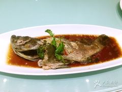 -大铁勺新津菜(东丽阳光新业广场店)