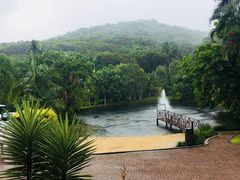 -热带雨林自然公园
