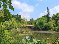 -云溪植物园